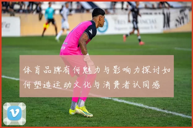体育品牌有何魅力与影响力探讨如何塑造运动文化与消费者认同感