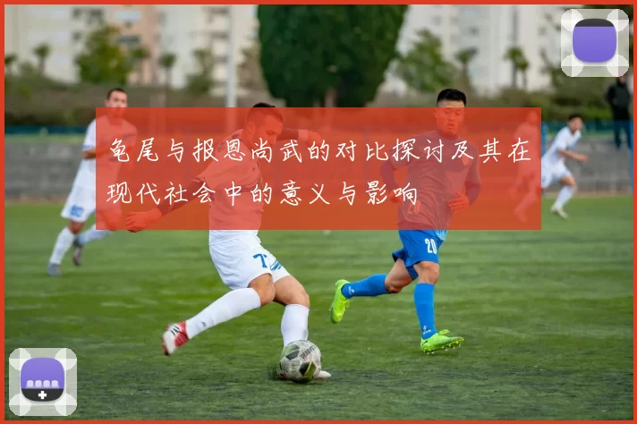 龟尾与报恩尚武的对比探讨及其在现代社会中的意义与影响