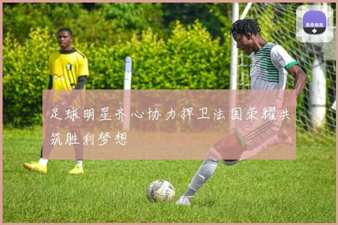 足球明星齐心协力捍卫法国荣耀共筑胜利梦想
