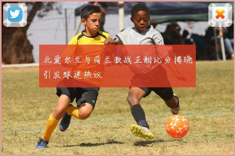 北爱尔兰与荷兰激战正酣比分揭晓引发球迷热议