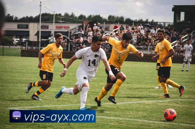 多媒体互动体验